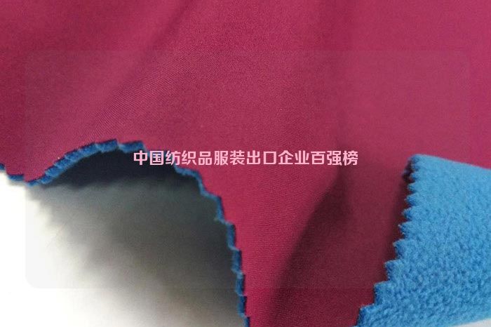 中國紡織品服裝出口企業百強榜