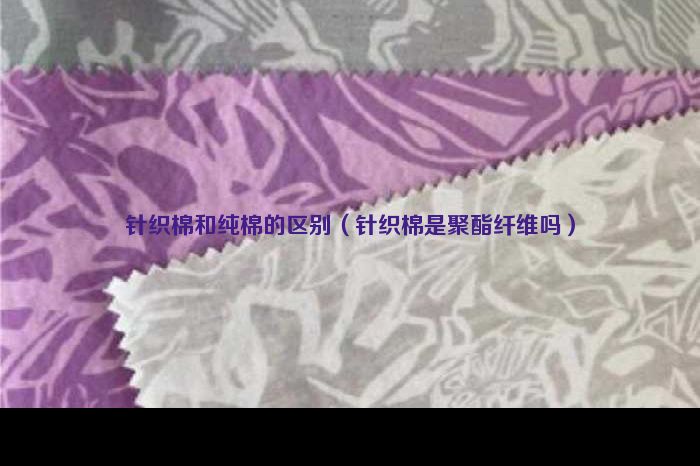 針織棉和純棉的區別（針織棉是聚酯纖維嗎）