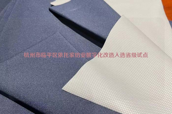 杭州市臨平區依托家紡業數字化改造入選省級試點