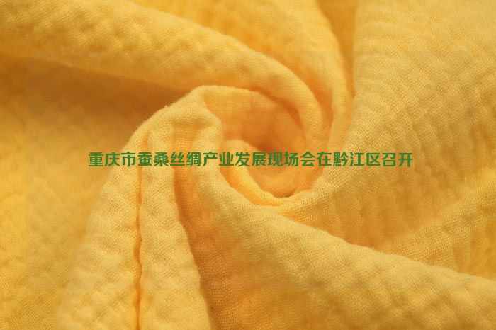  重慶市蠶桑絲綢產業發展現場會在黔江區召開
