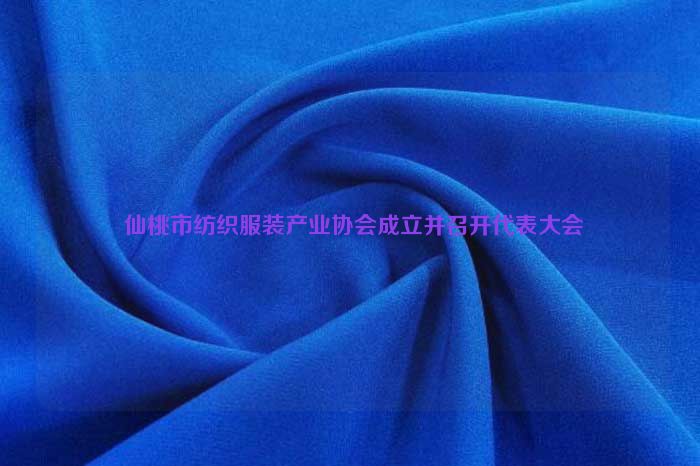  仙桃市紡織服裝產業協會成立並召開代表大會