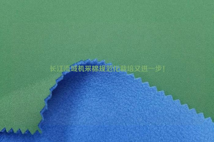 長江流域機采棉規範化栽培又進一步！