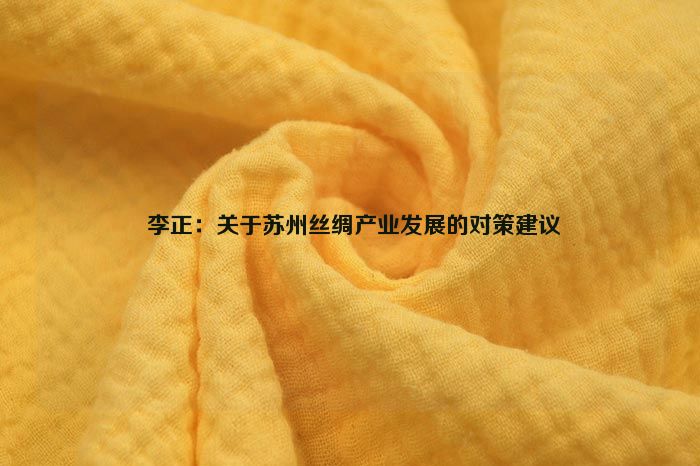  李正：關於蘇州絲綢產業發展的對策建議